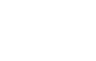 Birdie Partee